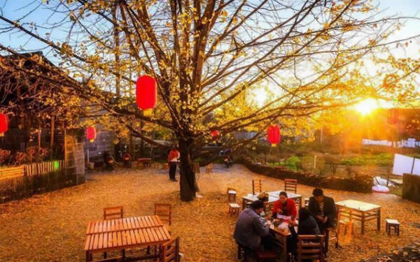 首期研學旅行指導師職業能力等級評價實訓班