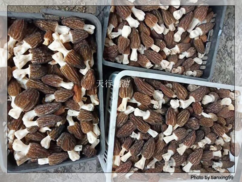 騰沖美食