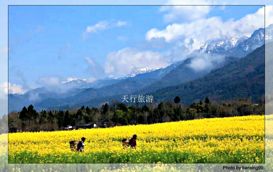 高黎貢山