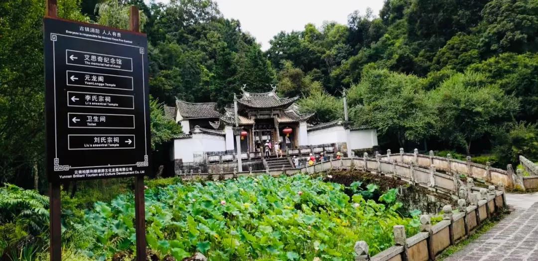 騰沖研學