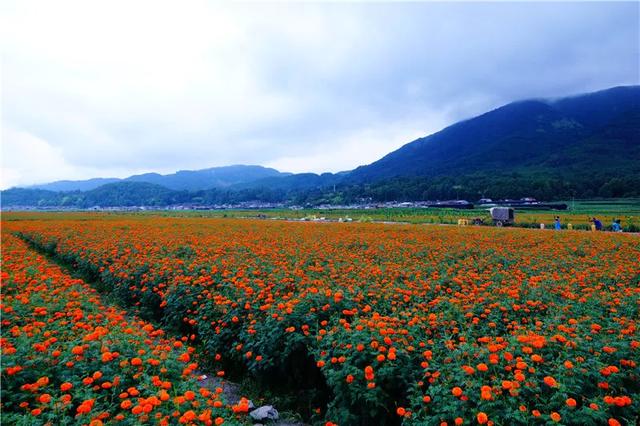 騰沖徒步路線馬拉松賽道