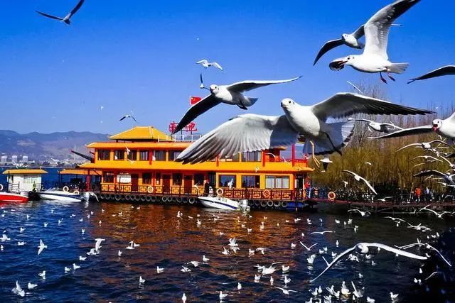 騰沖什么時候去最好，騰沖什么季節(jié)去最好？騰沖旅游季節(jié)時間推薦
