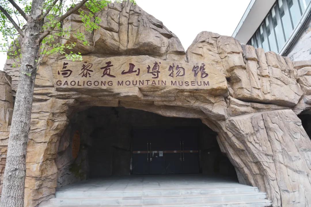 騰沖高黎貢山博物館，開啟一段探索自然的奇幻旅程