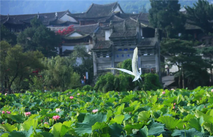 五一首發  “中國第一魅力名鎮”——和順古鎮邂逅騰沖生態之美