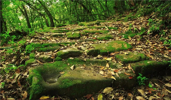 騰沖旅游