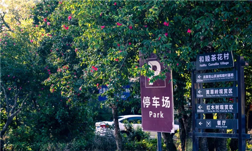 騰沖租車