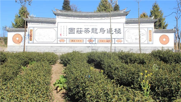 騰沖旅游景點