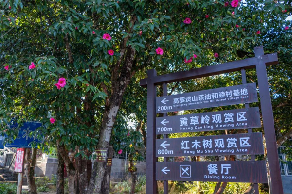 騰沖旅游