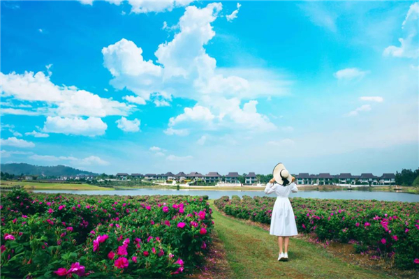 騰沖旅游