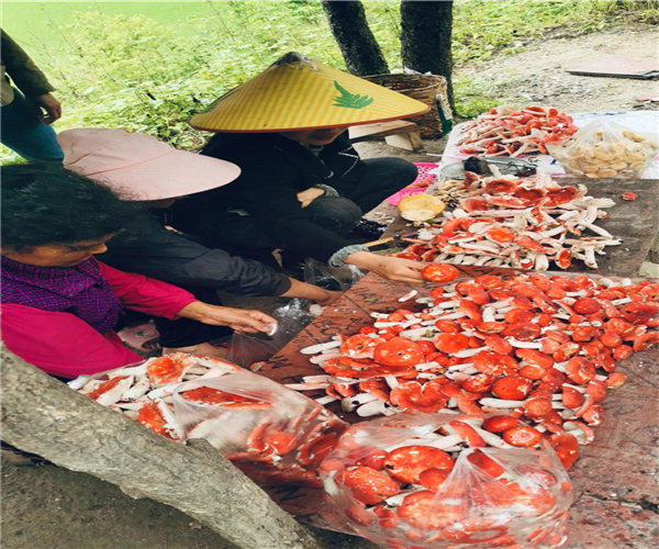 騰沖旅游