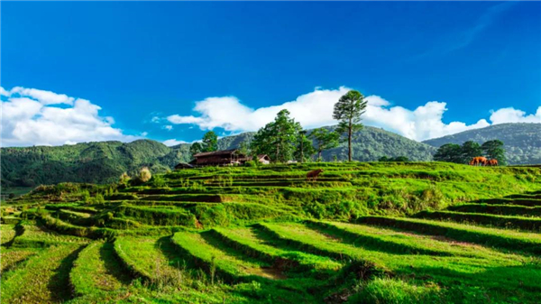 騰沖旅游