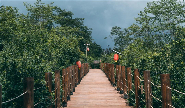 騰沖旅游