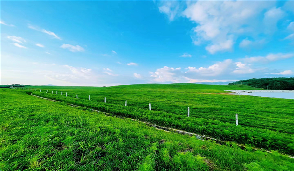騰沖旅游