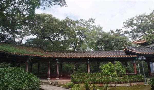 騰沖旅游
