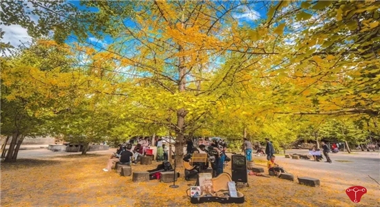 騰沖旅游