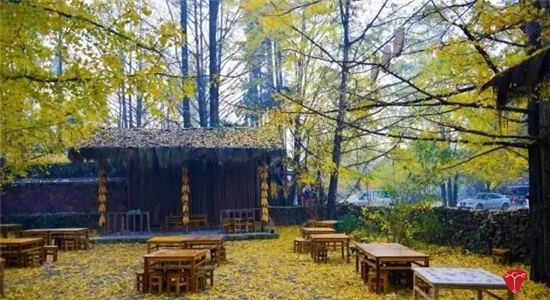 騰沖旅游