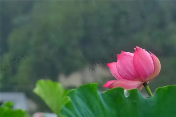騰沖旅游