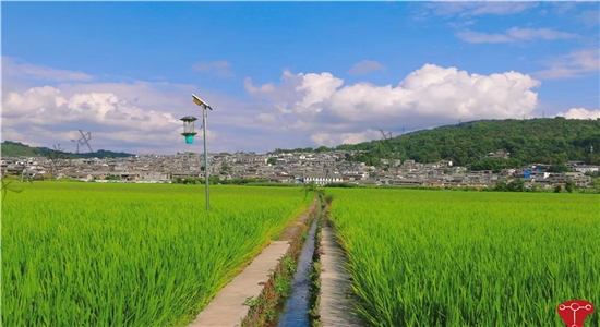 騰沖一天戶外拓展項目推薦，騰沖康養團建活動創意方案，戶外騎行、溫泉水上項目拓展