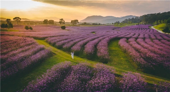 騰沖旅游景點