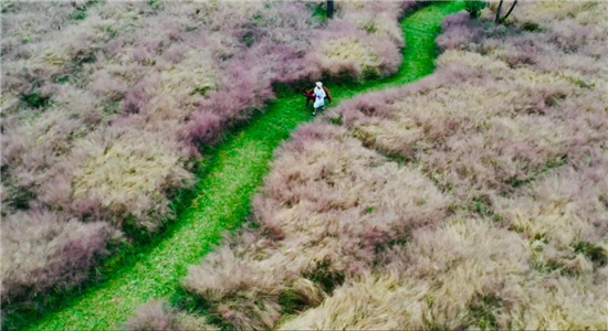騰沖旅游