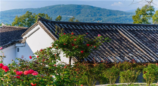 騰沖旅游