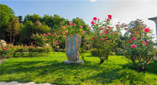 騰沖旅游