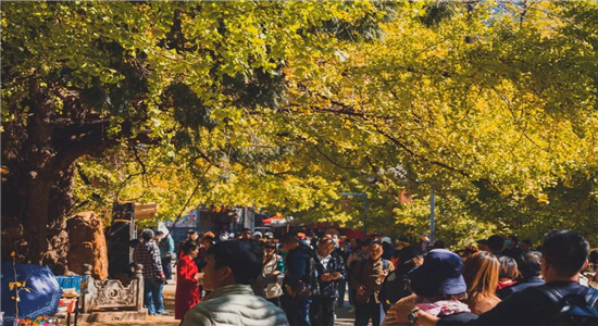 騰沖旅游