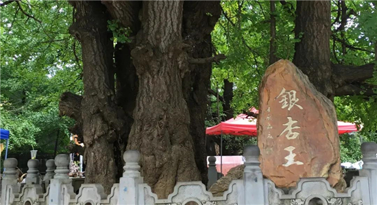 騰沖旅游