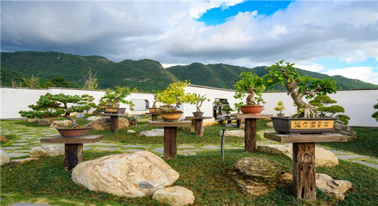 騰沖旅游