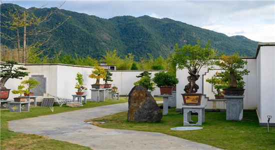騰沖旅游