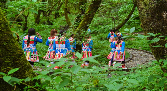 騰沖旅游