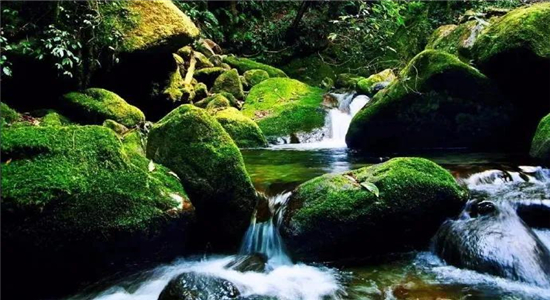 高黎貢山徒步
