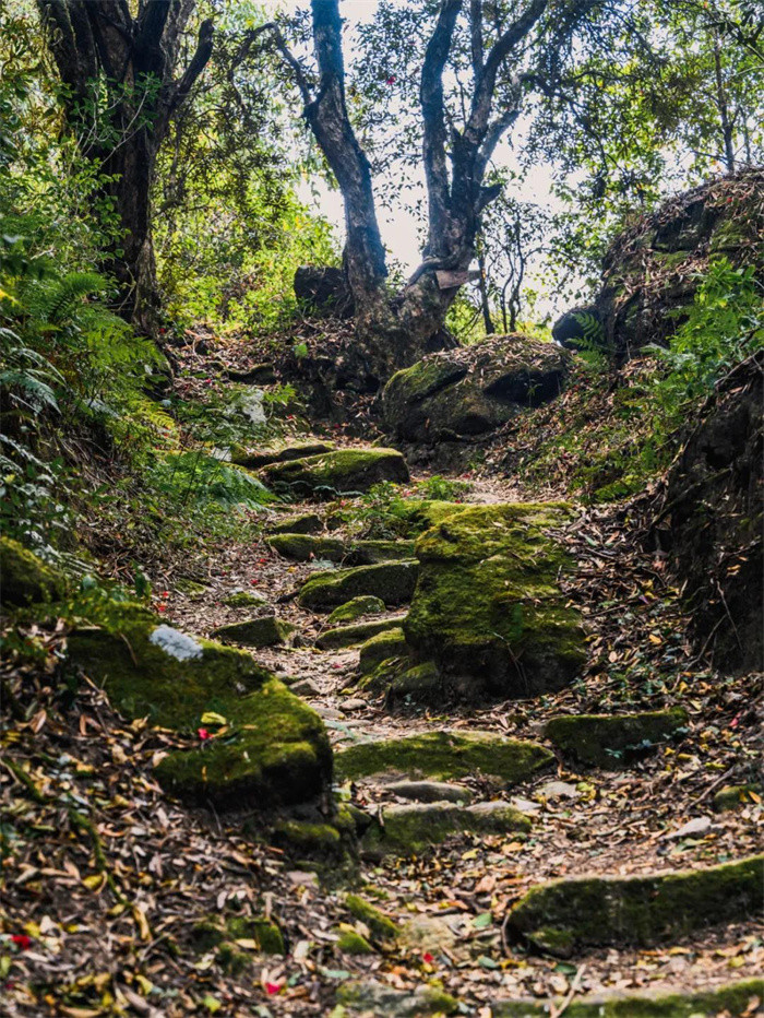 玉璧古道實景圖
