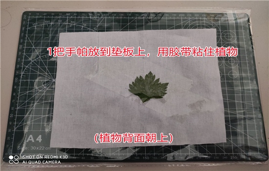 騰沖戶外拓展