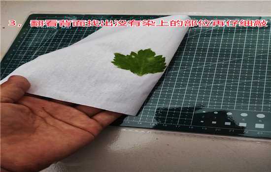 騰沖戶外拓展