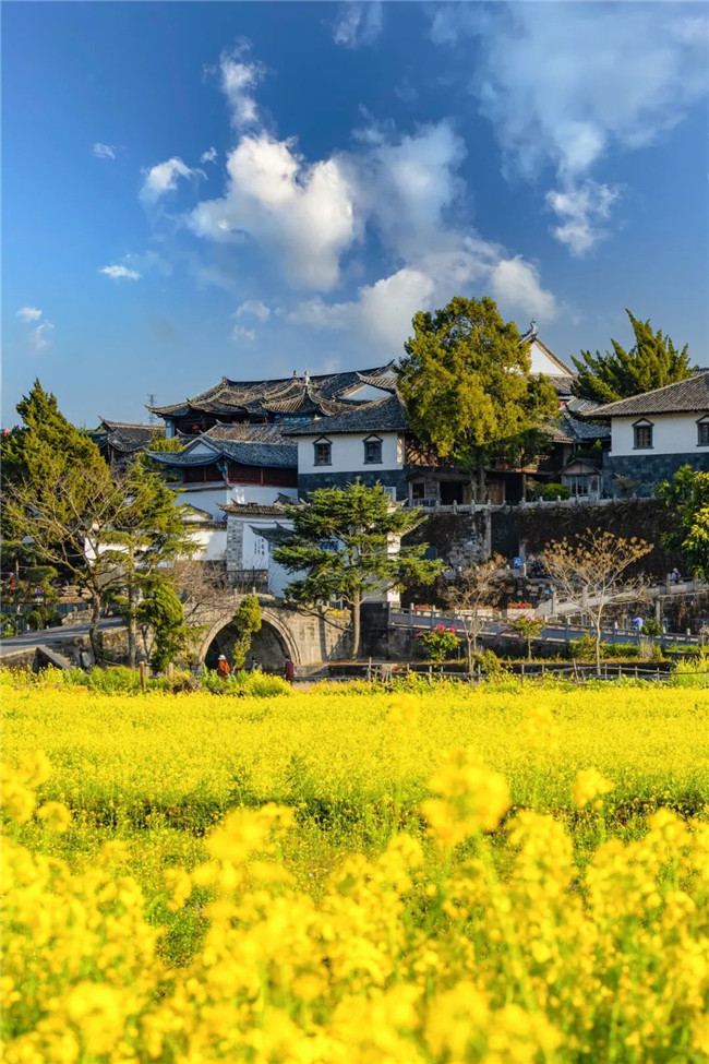 騰沖研學