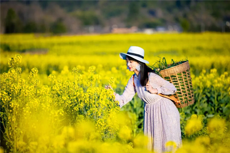 騰沖旅游