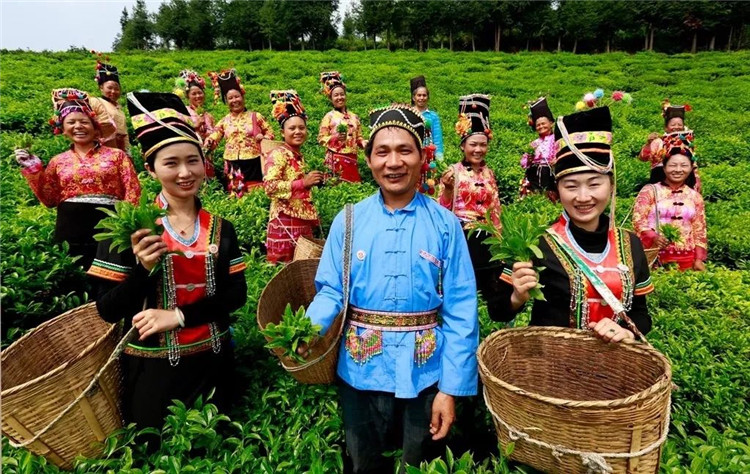 騰沖旅游