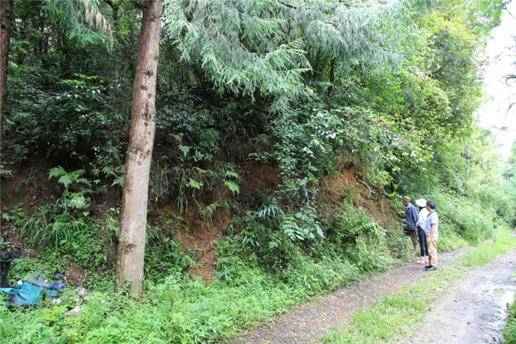 騰沖旅游