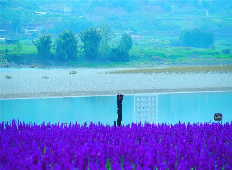 騰沖旅游