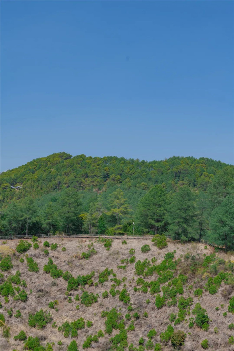 騰沖旅游