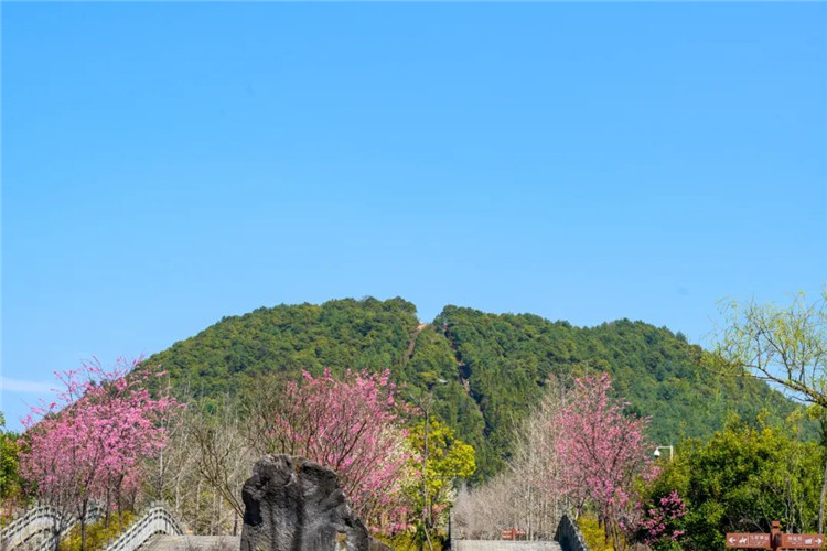 騰沖旅游
