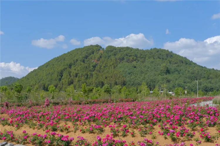 騰沖旅游