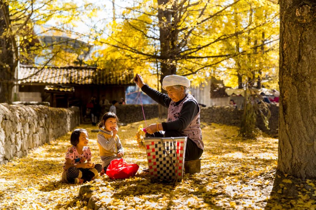 騰沖旅游