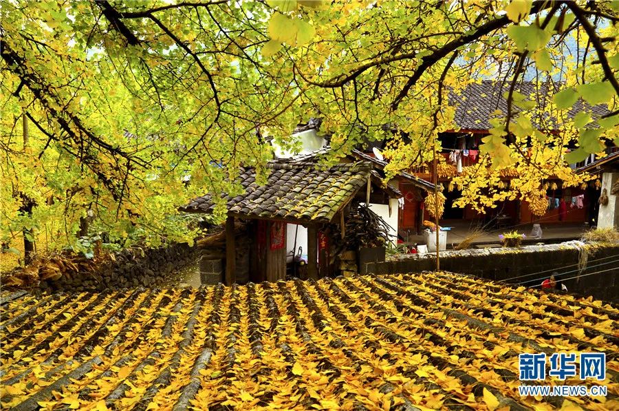 騰沖旅游