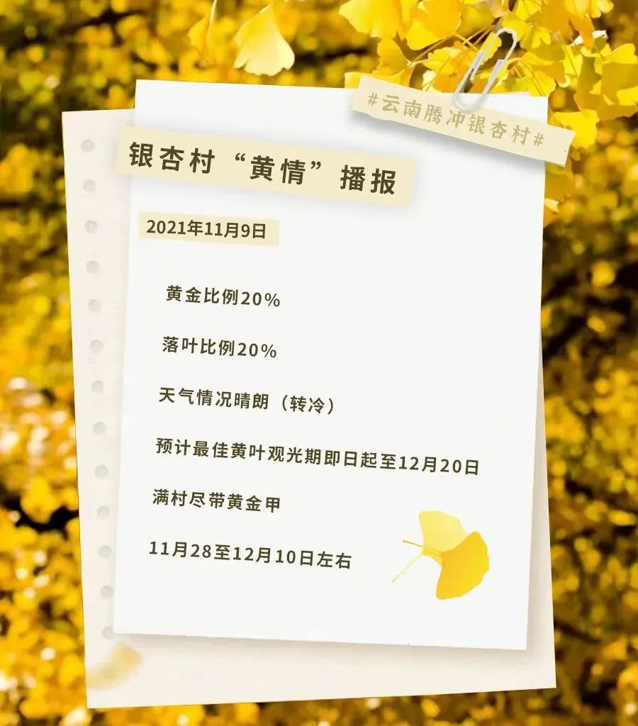 騰沖旅游