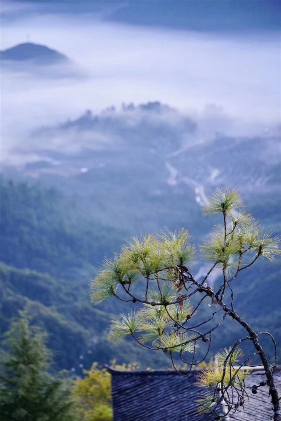 騰沖旅游