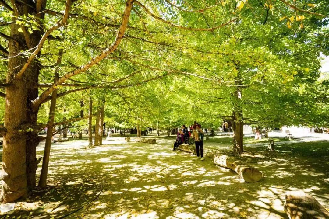 騰沖旅游