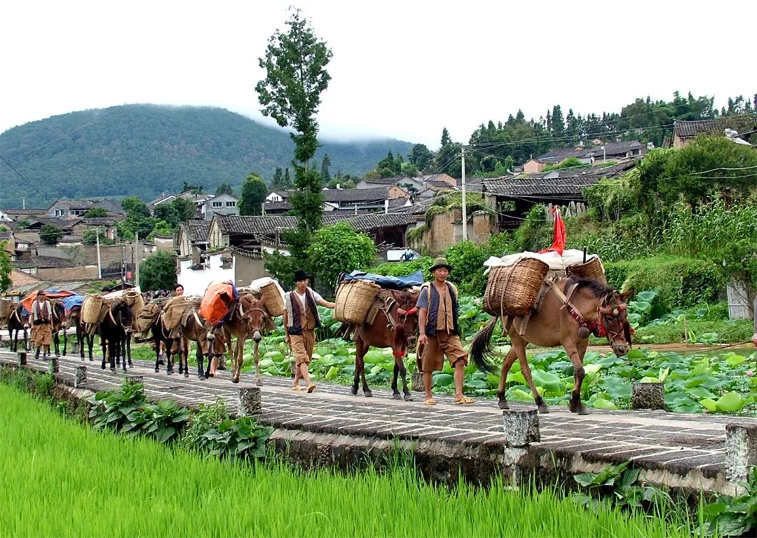 騰沖旅游