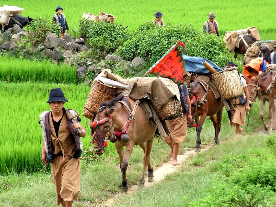 騰沖旅游